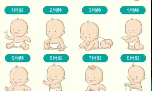 禧贝米粉 营养成分含量表-禧贝米粉 营养成分网禧贝米粉 营养成分分析知识网站,分享禧贝米粉 营养成分分析大全